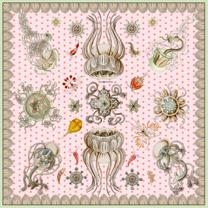Fanciful Urchins