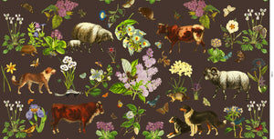 Romeo & Giulietta Fabric