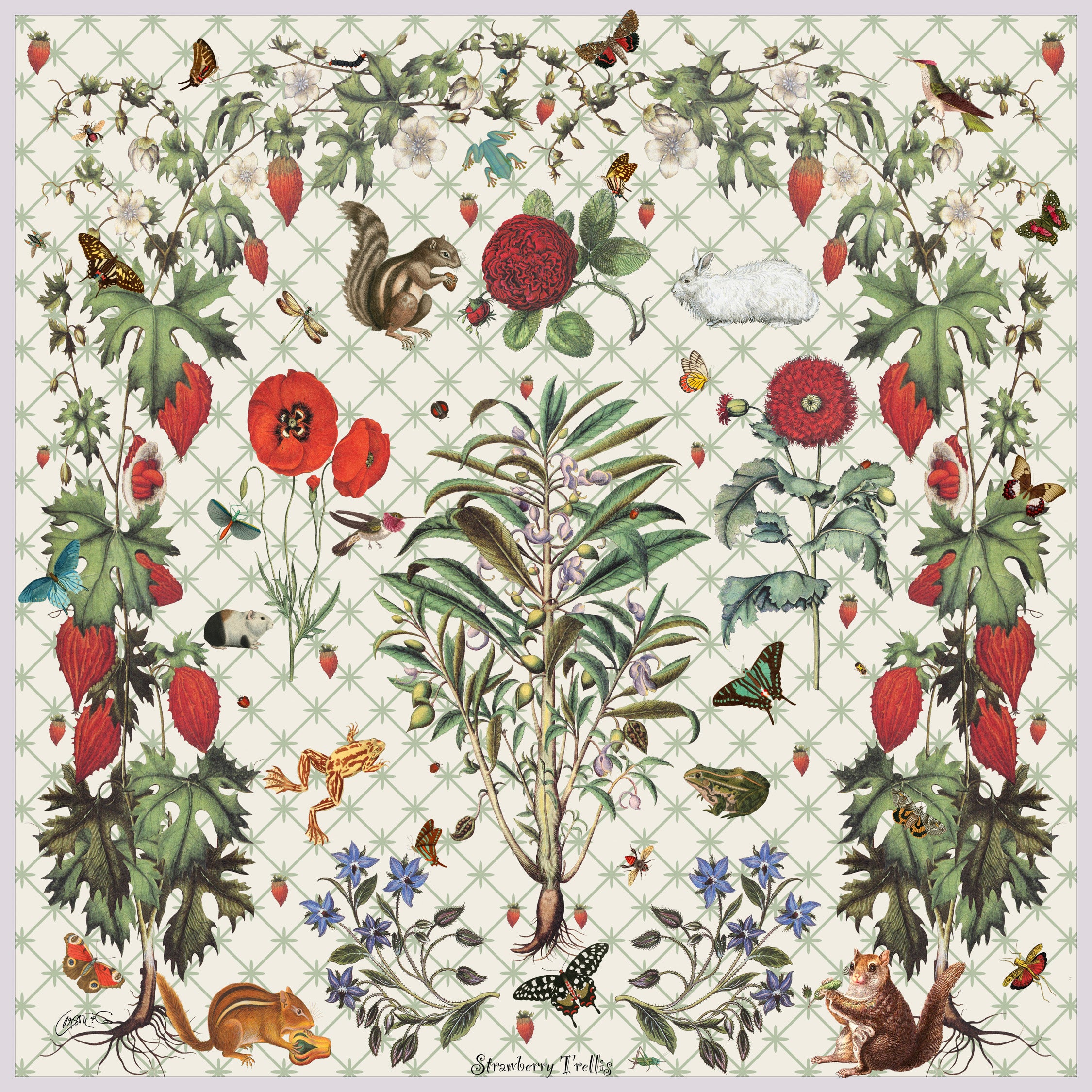 trellis strawberry plants Strawberry Trellis Scarf – Susan Carson