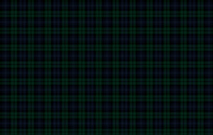 Campbell Ancient Plaid Fabric