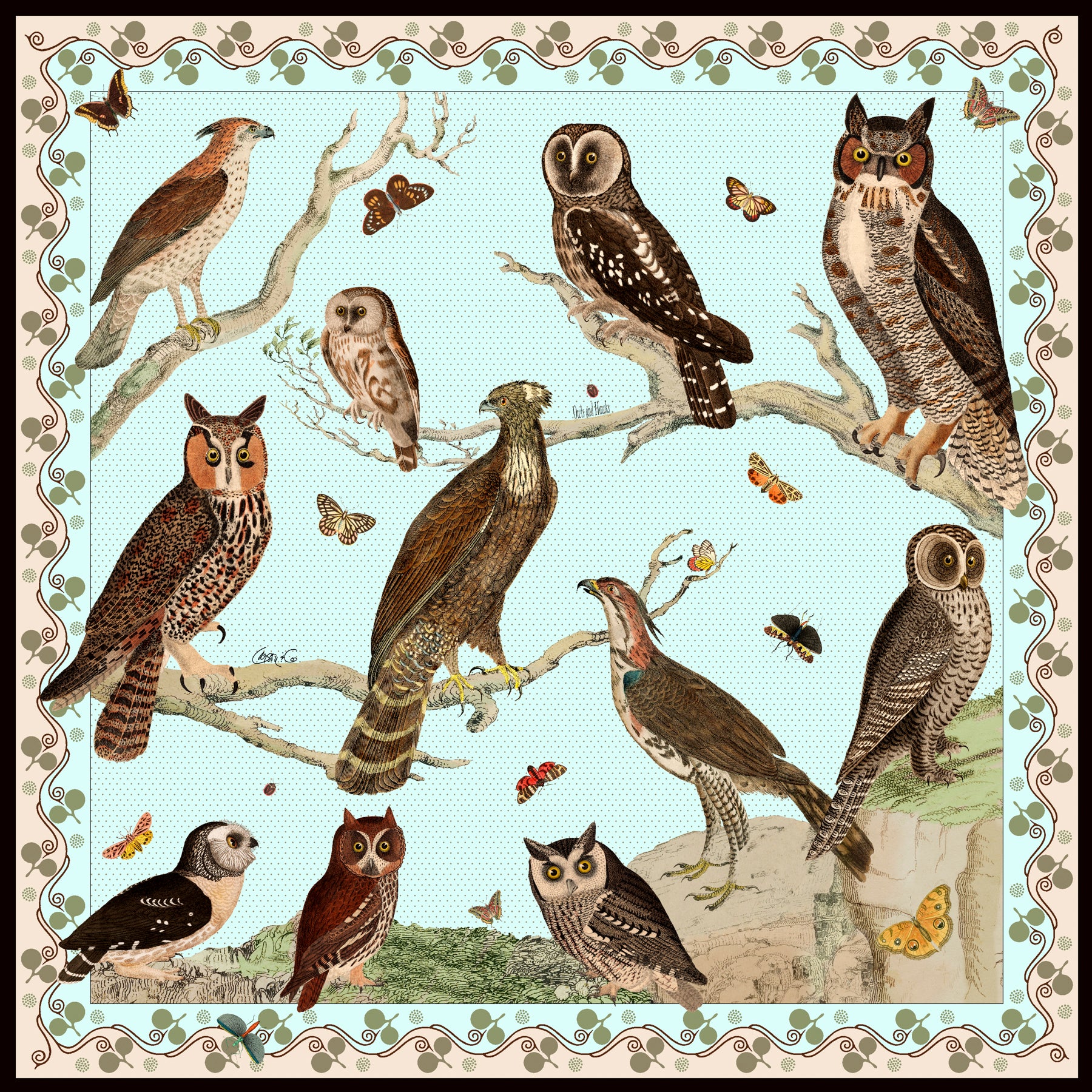 Owls And Hawks Scarf