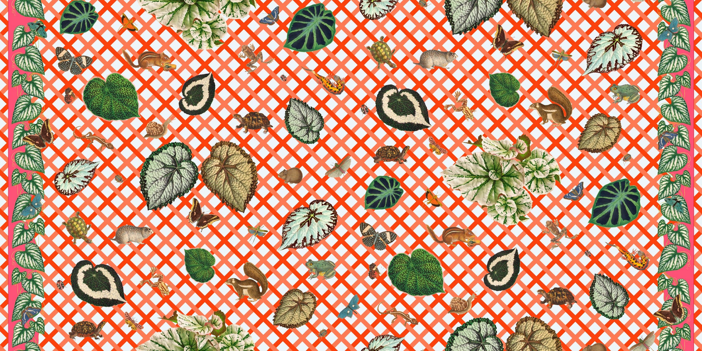 Begonias on Lattice Fabric