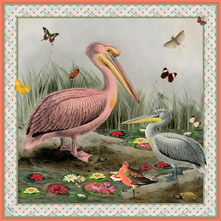 Pink Pelican Scarf